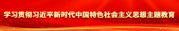 男女鸡巴插拔猛啪网站学习贯彻习近平新时代中国特色社会主义思想主题教育